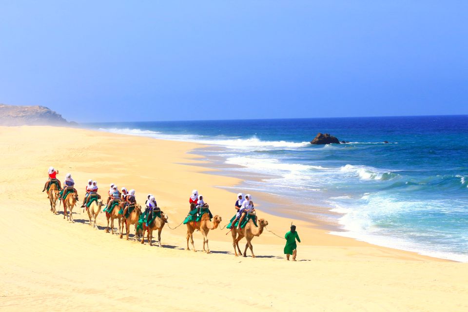 Los Cabos: Sunset Fiesta Dinner Cruise With Camel Ride Tour - Camel Sanctuary Visit