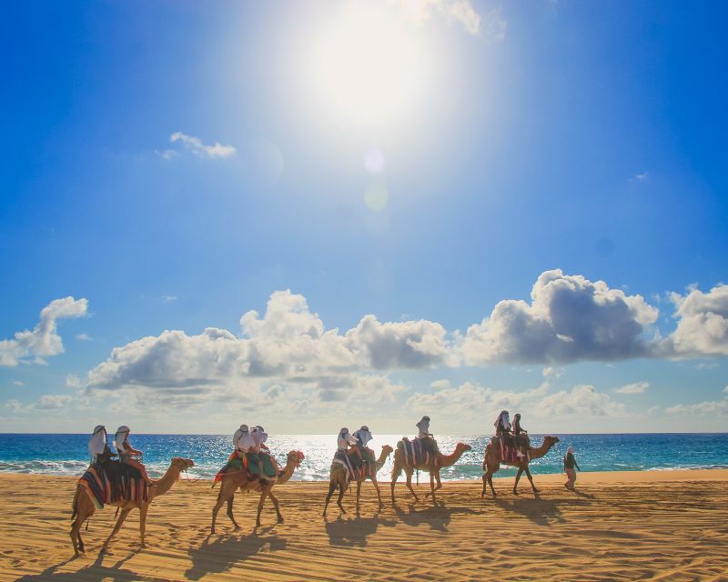 Los Cabos: Sunset Fiesta Dinner Cruise With Camel Ride Tour - Sunset Cruise Itinerary