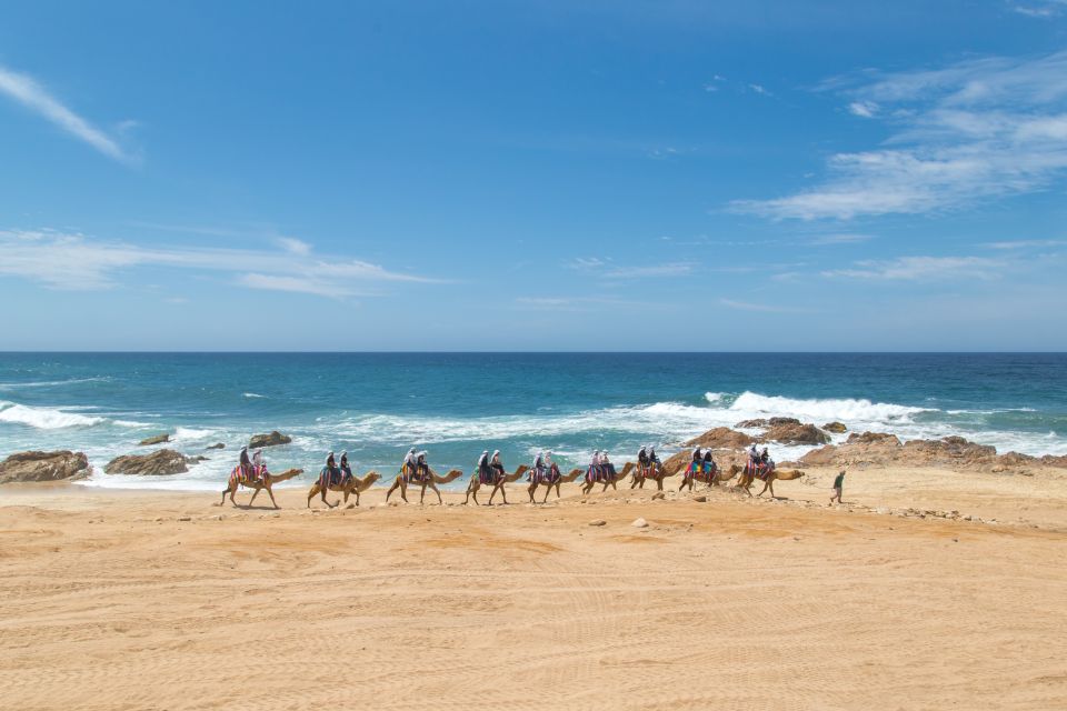 Los Cabos: Sunset Fiesta Dinner Cruise With Camel Ride Tour - Booking and Cancellation Policy