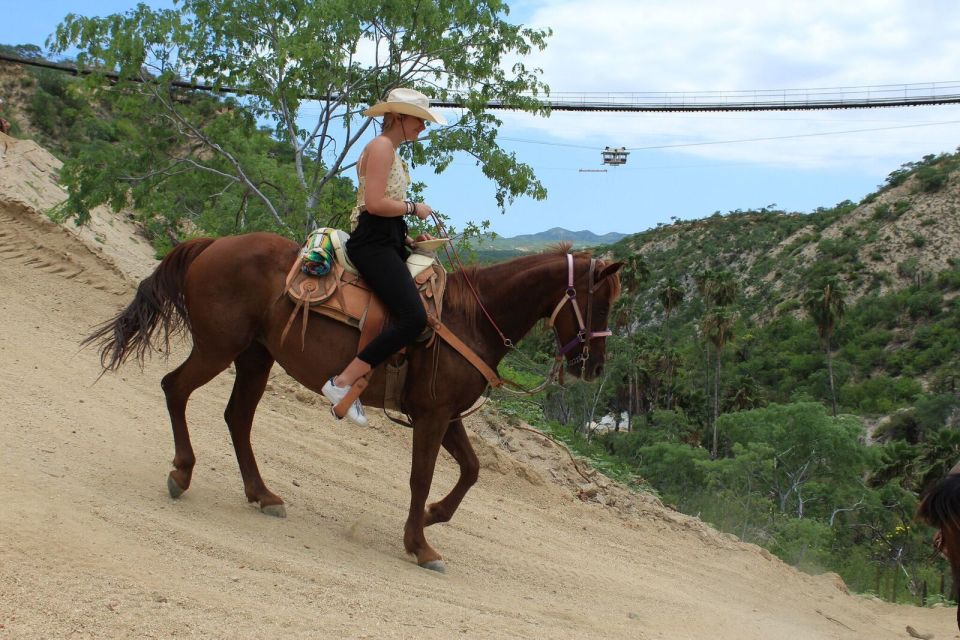 Los Cabos: The Great Fandango Horseback Riding Adventure - Inclusions