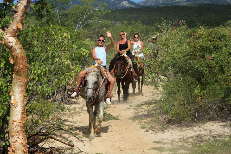Los Cabos: The Great Fandango Horseback Riding Adventure - Scenic Landscapes