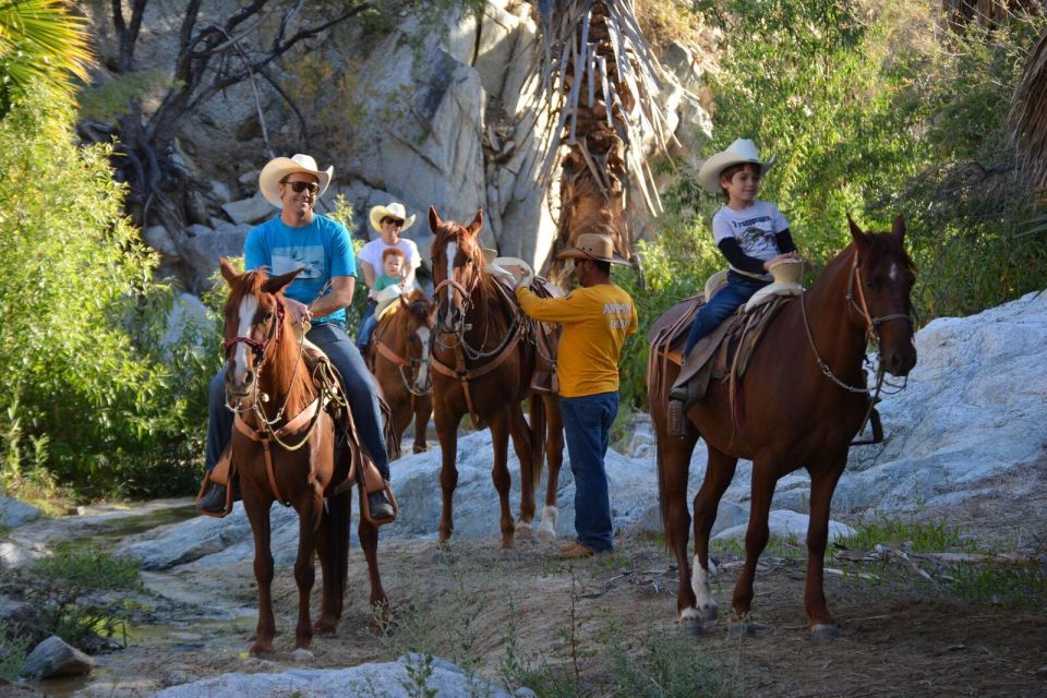 Los Cabos: The Great Fandango Horseback Riding Adventure - Memorable Experiences