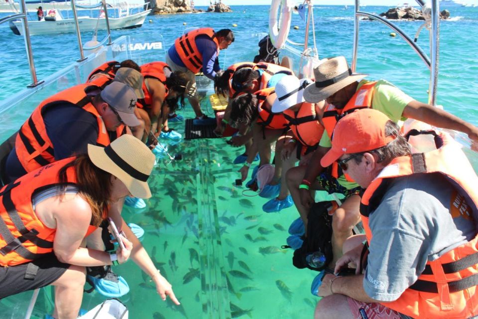 Los Cabos: The Original Glass Bottom Boat Cruise - Inclusions and Amenities