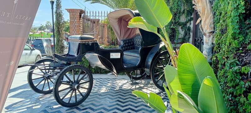 Los Cabos: Todos Santos Pueblo Magico Tour - Key Points