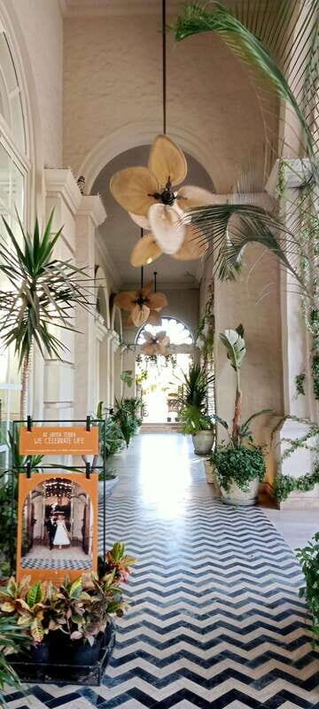 Los Cabos: Todos Santos Pueblo Magico Tour - A Deep Dive into the Touring Experience