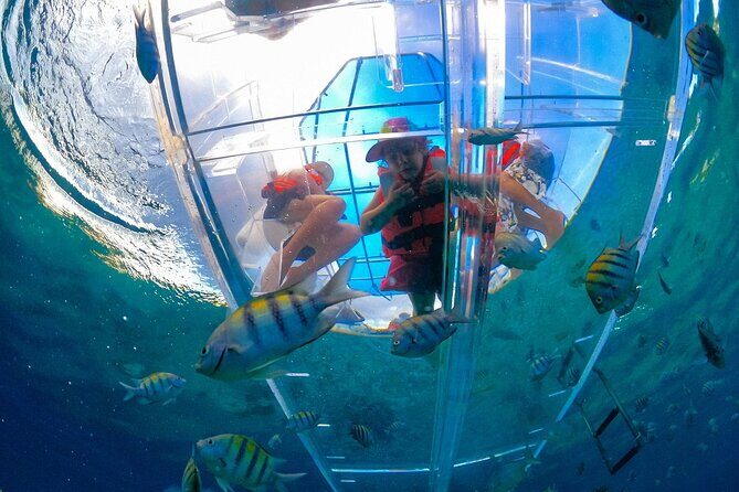 Los Cabos Transparent Boat Experience towards the Arch - Who Will Love This Tour?