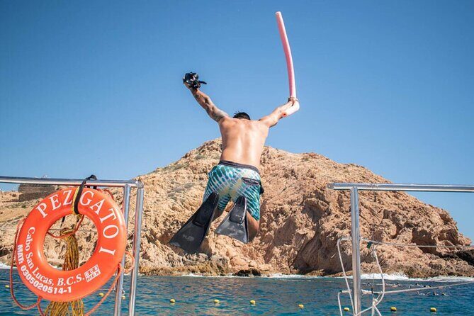 Los Cabos Ultimate Snorkeling Adventure - Authentic Experiences and What Travelers Say