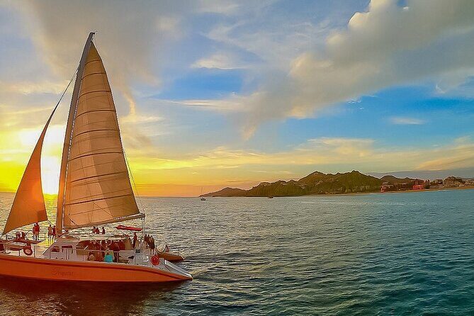 Los Cabos Whale Watching and Sunset Tour - Authentic Experiences & Real Traveler Insights