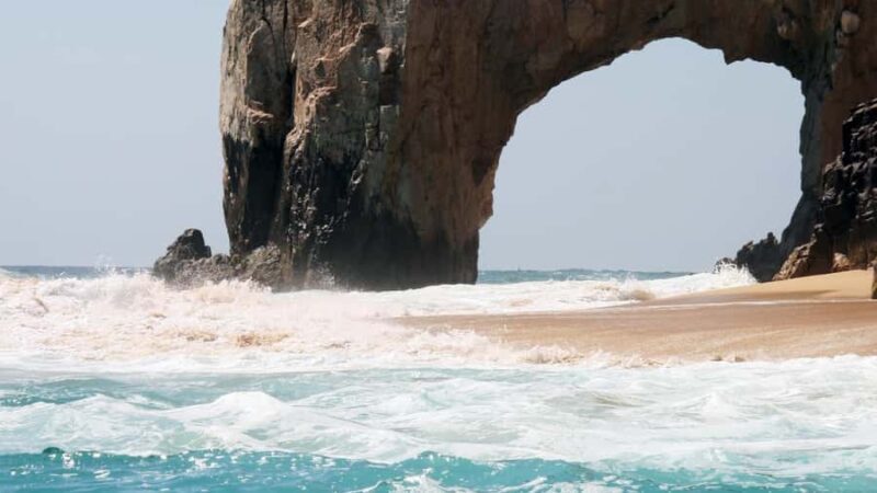 Los Cabos: Whale Watching by Glass Bottom Boat - Final Thoughts