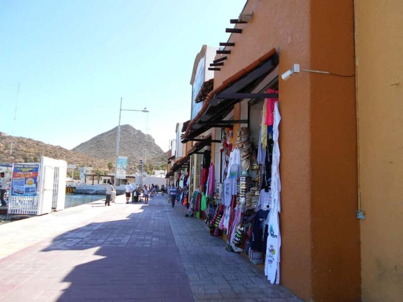 Los Cabos: Whale Watching Tour with Tequila Tasting - FAQ