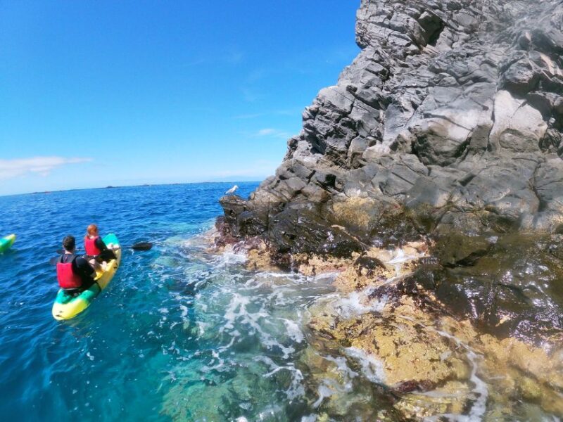 Los Cristianos: Kayak and Snorkel With Turtles and Photos - Suitability and Safety