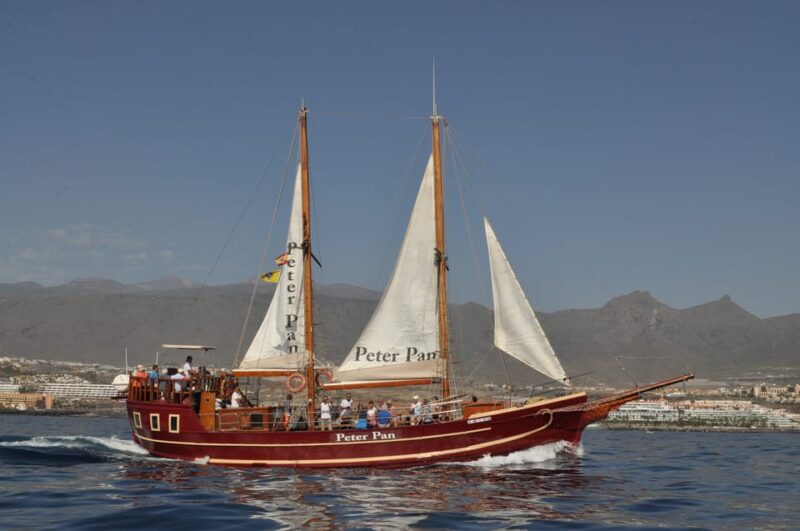 Los Cristianos: Whale-Watching Sailboat Tour 3 Hrs and Food. - Key Points