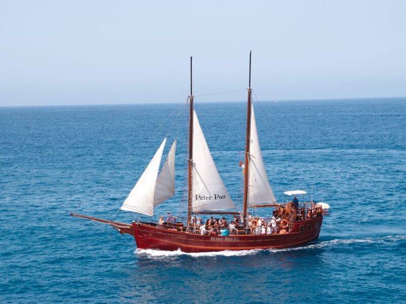 Los Cristianos: Whale-Watching Sailboat Tour 3 Hrs and Food. - Boat Experience