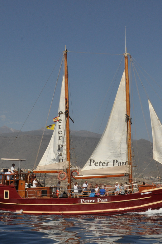 Los Cristianos: Whale-Watching Sailboat Tour 3 Hrs and Food. - Customer Reviews and Ratings