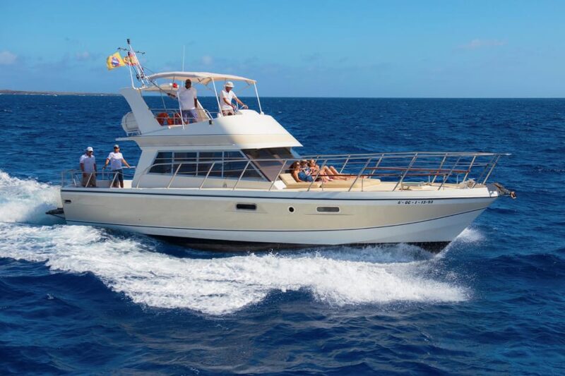 Los Cristianos: Whale Watching Tour With Swimming and Lunch on a Yacht for 22 Passengers - Tour Overview and Pricing