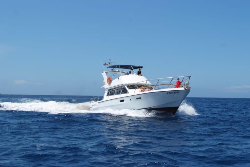 Los Cristianos: Whale Watching Tour With Swimming and Lunch on a Yacht for 22 Passengers - Whale Watching Highlights