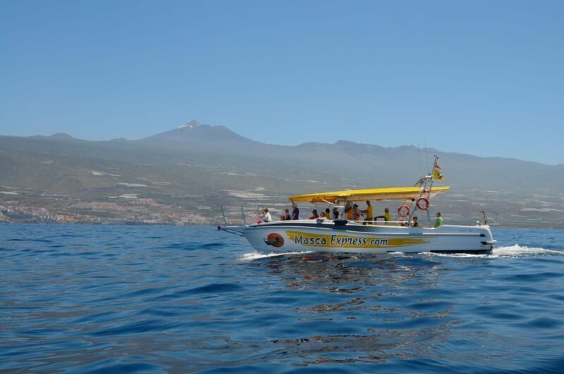 Los Gigantes: Dolphin & Whale Watching Cruise with Swim Stop - Key Points