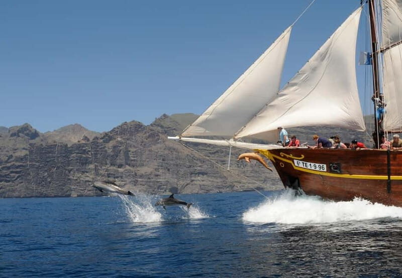 Los Gigantes: Dolphin & Whale Watching Tour on a Pirate Boat - A Closer Look at the Tour Experience