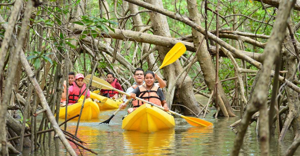 Los Haitises All One: Kayaking, Hiking, Boat, and Swimming - Taino Cultural Immersion
