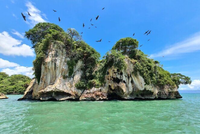 Los Haitises Boat Ride and Caño Hondo Natural Pools - Cave Exploration: La Arena and La Línea