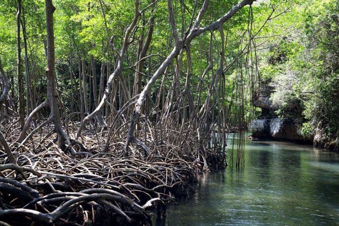 Los Haitises Boat Ride and Caño Hondo Natural Pools - Practical Considerations