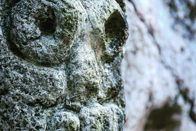 Los Haitises & Cayo Levantado (Lunch included, from Samana in Catamaran or Boat) - The Sum Up: Is This Tour Worth It?