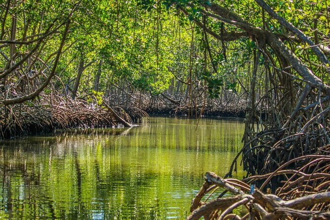 Los Haitises Day Trip with Montaña Redonda and Paraíso Caño Hondo - FAQ