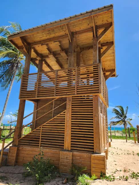 Los Haitises & Esmeralda Beach + Montana Redonda - Key Points  