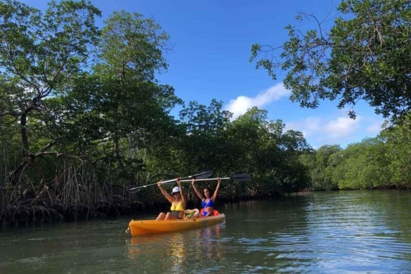 Los Haitises: Guided Kayak Tour with Local Guide - Key Points