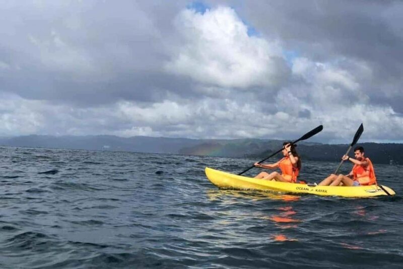 Los Haitises: Guided Kayak Tour with Local Guide - An Inside Look at the Kayak Tour Experience