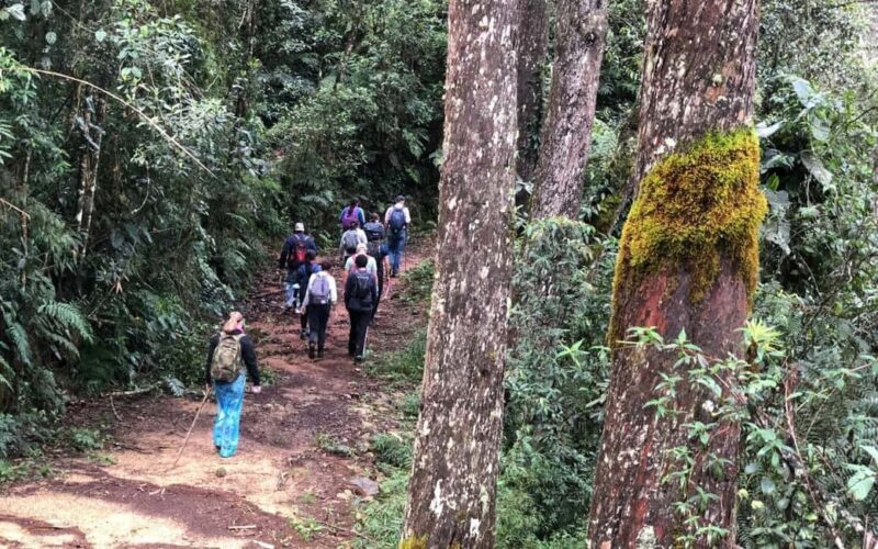 Los Haitises: Guided Kayak Tour with Local Guide - Considerations and Tips