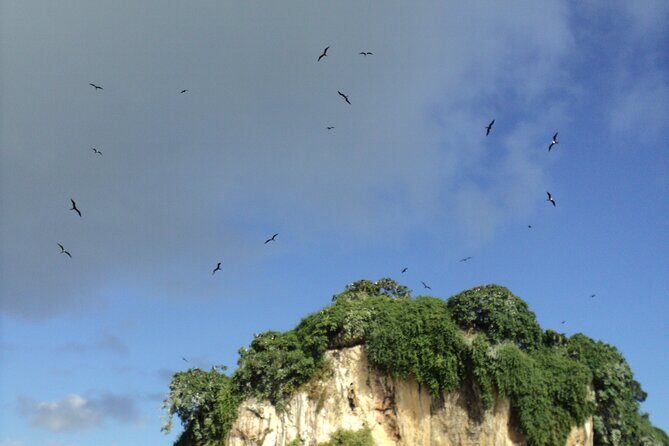 Los Haitises National Park and Cayo Levantado Island Day Trip from Samana - Final Thoughts: Who Will Appreciate This Tour?