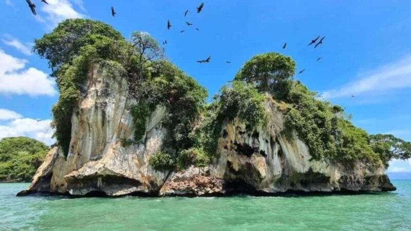 Los Haitises National Park: Boat Tour - Introduction