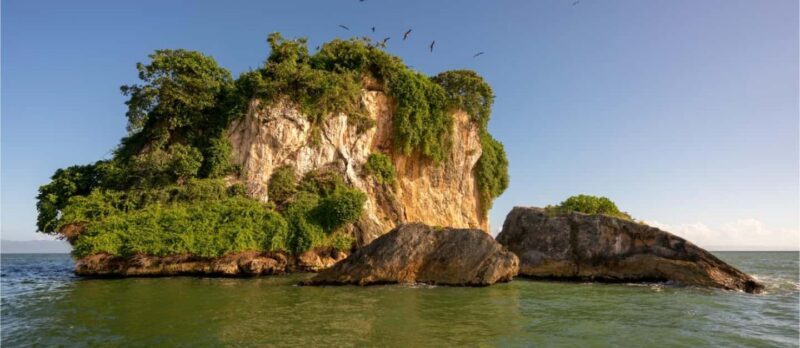 Los Haitises National Park: Boat Tour with Caves Visit - What to Expect on the Tour