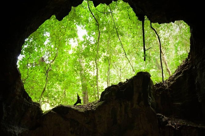 Los Haitises National Park Hiking 2 Hours and Kayaking 4 Hours - Spotting Wildlife and Birdlife