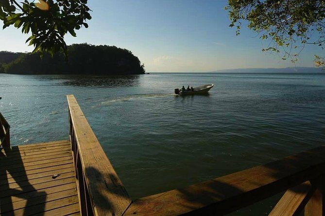 Los Haitises National Park - Hiking in Rain Forest + Private Boat to Caves - Who Will Love This Tour?