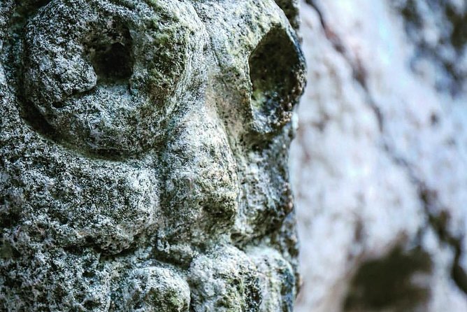 Los Haitises National Park - Hiking in Rain Forest + Private Boat to Caves - Reviews and Feedback