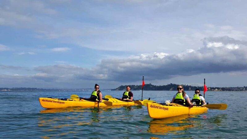 Los Haitises National Park: Kayaking and Hiking Tour - An In-Depth Look at Los Haitises National Park: Kayaking and Hiking