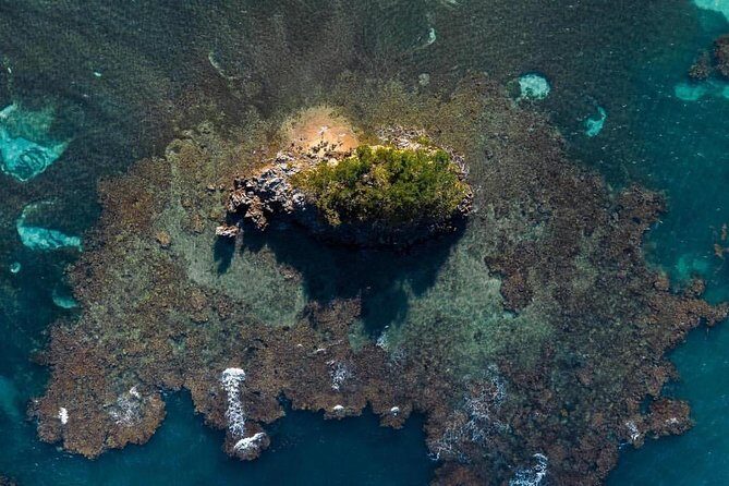 Los Haitises National Park private Kayaking 4 hours trip Mangroves and Cave - An Introduction to the Los Haitises Kayaking Adventure