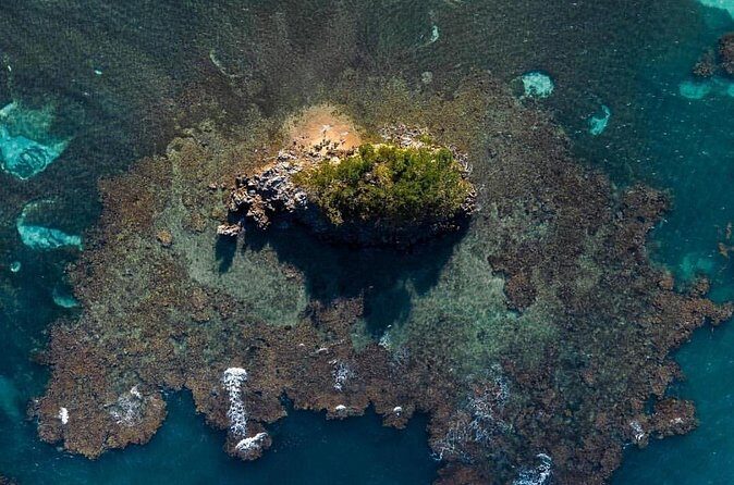 Los Haitises National Park private Kayaking 4 hours trip Mangroves and Cave - What to Expect from the Tour