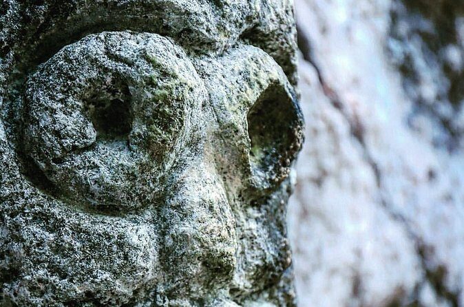 Los Haitises National Park private Kayaking 4 hours trip Mangroves and Cave - Analyzing the Value