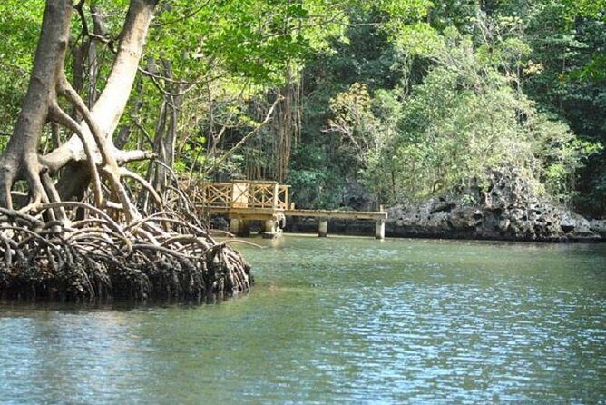 Los Haitises National Park Tour with Lunch from Punta Cana - An In-Depth Look at the Tour Itinerary