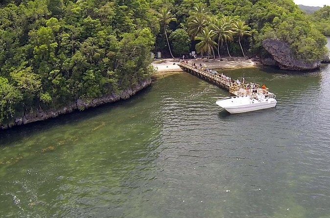Los Haitises National Park Tour with Lunch from Punta Cana - Is It Worth the Price?