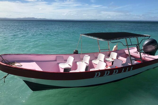 Los Haitises Park & Cayo Levantado: Samaná Unforgettable Journey - Whale Watching Highlights