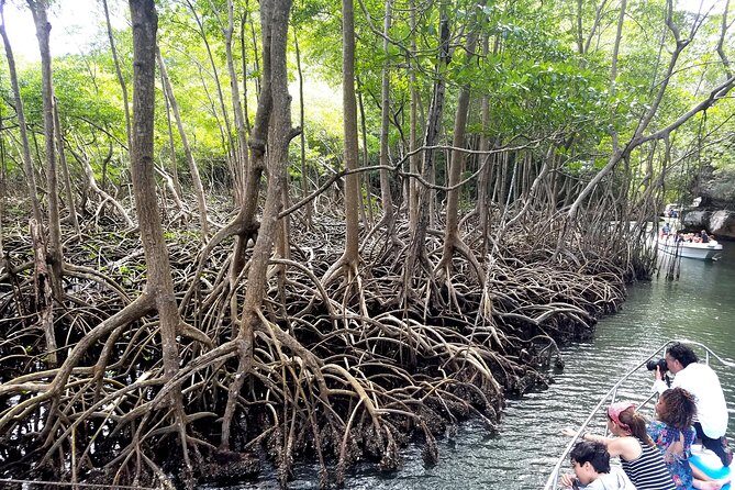 Los Haitises Plus Bacardi Island for Samana Cruise Ship Travelers - Final Thoughts