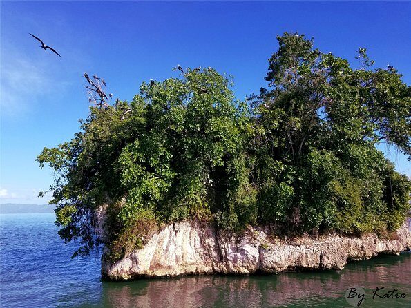 Los Haitises Plus Bacardi Island for Samana Cruise Ship Travelers - Frequently Asked Questions