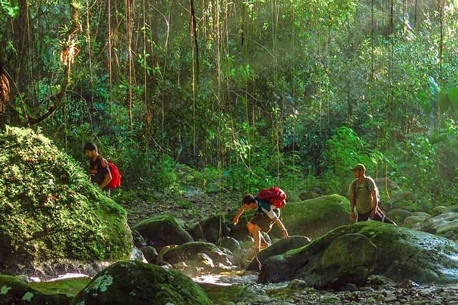 Lost City Trek [Ciudad Perdida Tour] From Santa Marta & Taganga - Visiting Indigenous Communities