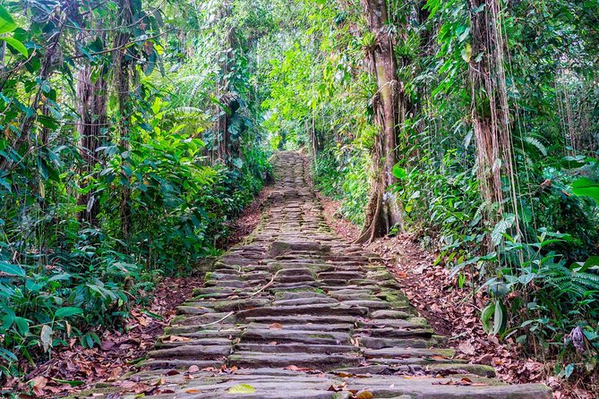 Lost City Trek [Ciudad Perdida Tour] From Santa Marta & Taganga - Health and Safety Considerations