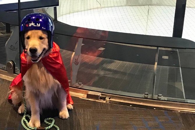Loudoun Indoor Skydiving Experience With 2 Flights & Personalized Certificate - Sum Up