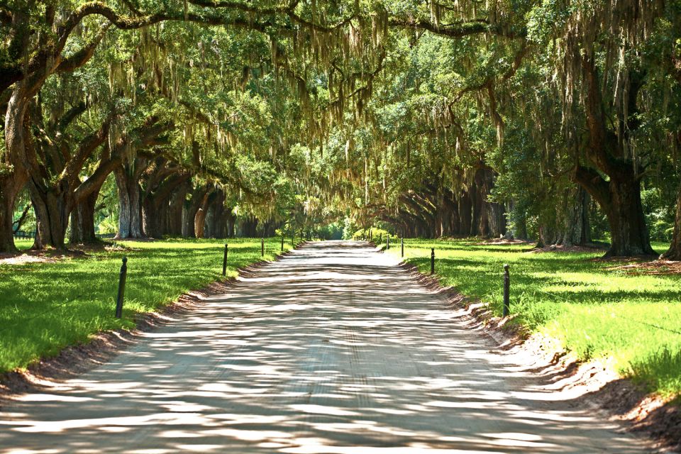 Louisiana: Laura, Oak Alley, or Whitney Plantation Tours - Discover the Oak Alley Plantation